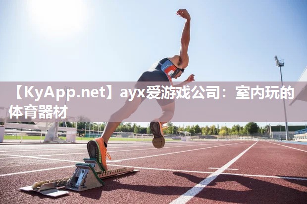 ayx爱游戏公司：室内玩的体育器材